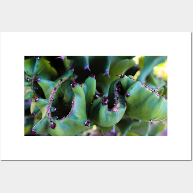 Abstract view from a cactus part Wall Art by kall3bu